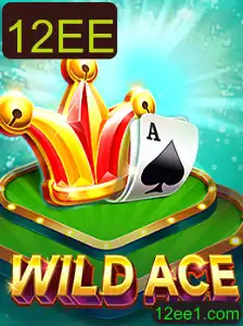 Descobrindo WildAce: O Jogo de Cartas que Está Conquistando 2023